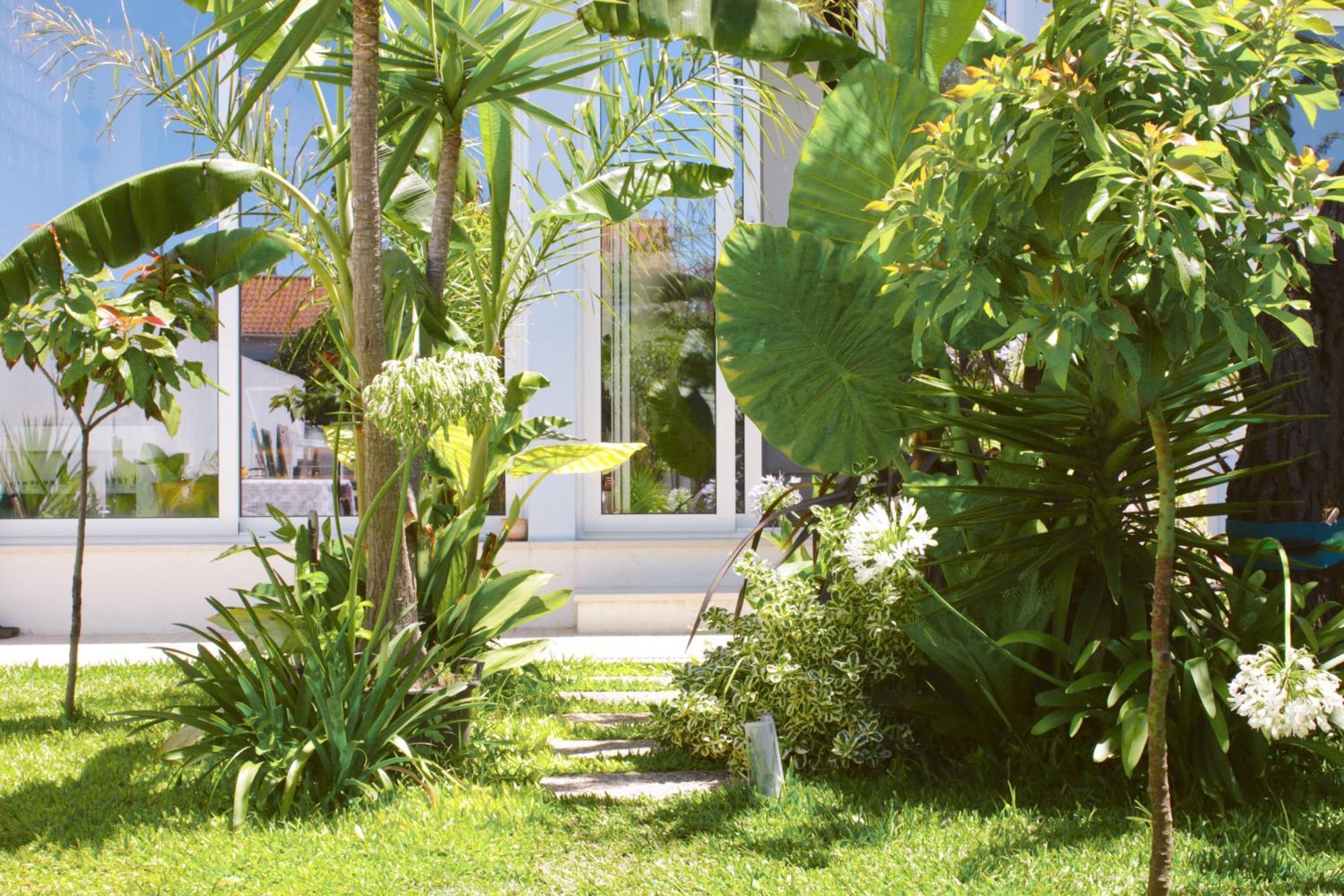 Vila Vale Guest House - Surf & Yoga Charneca  Buitenkant foto